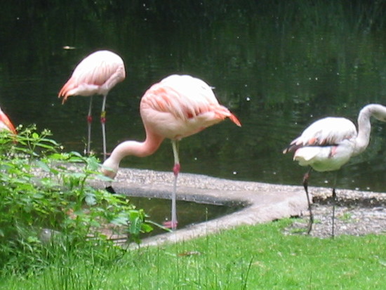 Zoo Duisburg