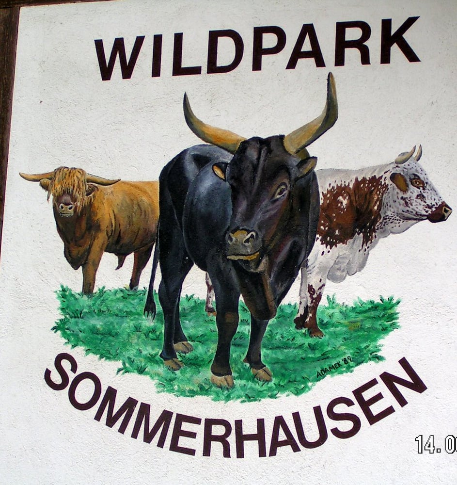Bild 1 Wildpark Sommerhausen in Sommerhausen