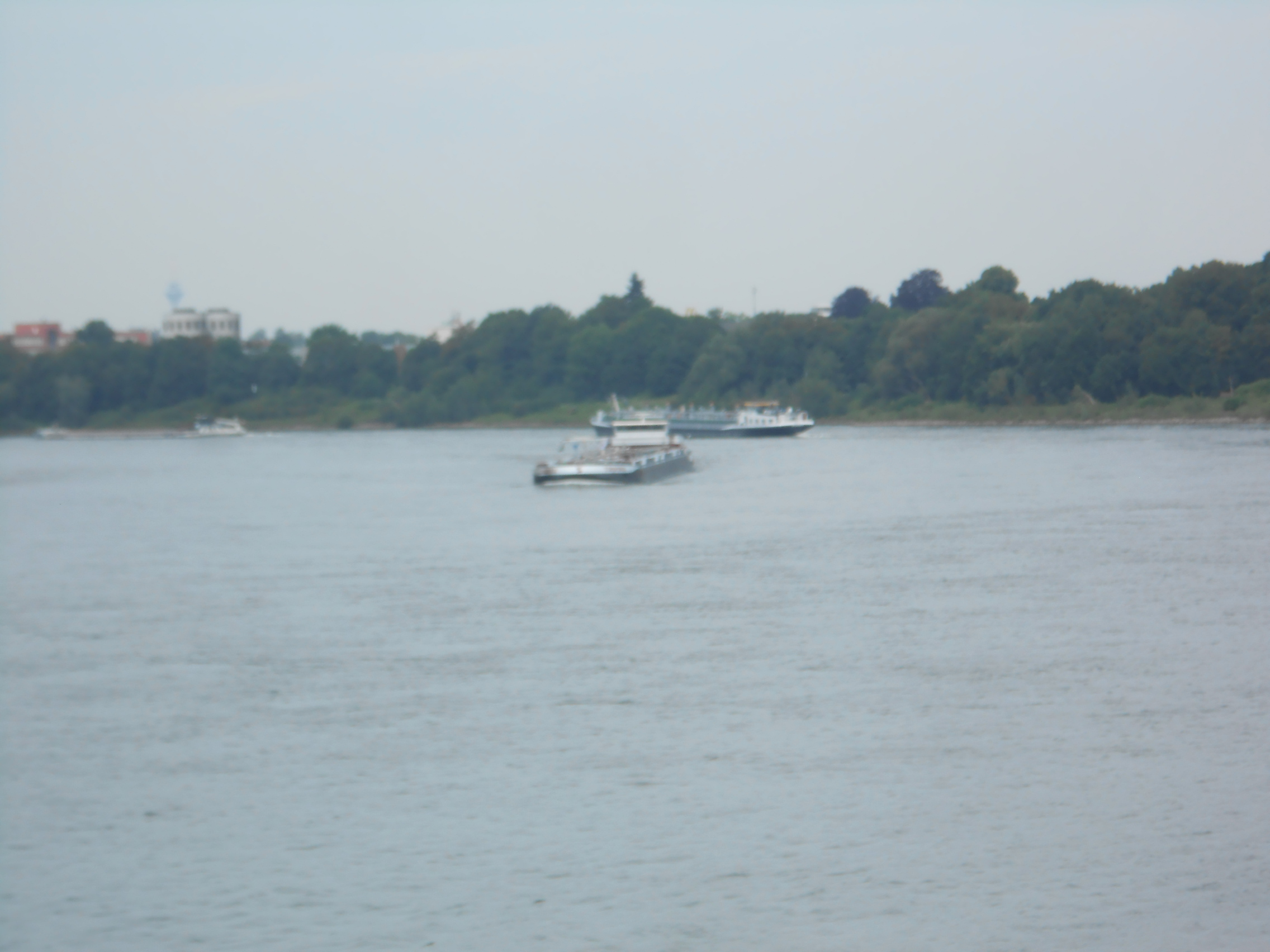 Schiffsverkehr auf dem Rhein und warten auf die Fähre