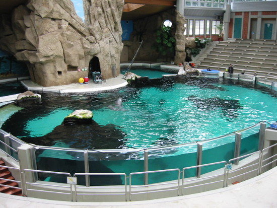 Delfinarium im Zoo Duisburg