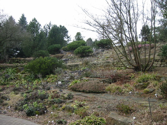 Steingarten im Botanischen Garten der Uni Bochum