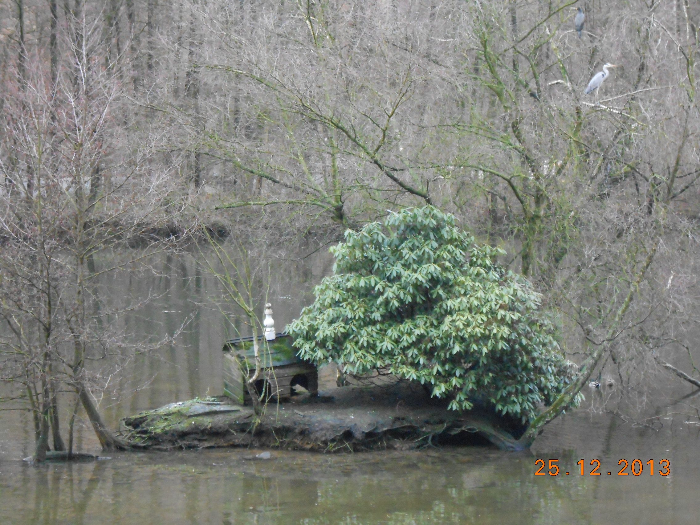 Teich mit Schwanenhaus im Ortsteil Laaken - 15 min. von der City entfernt.