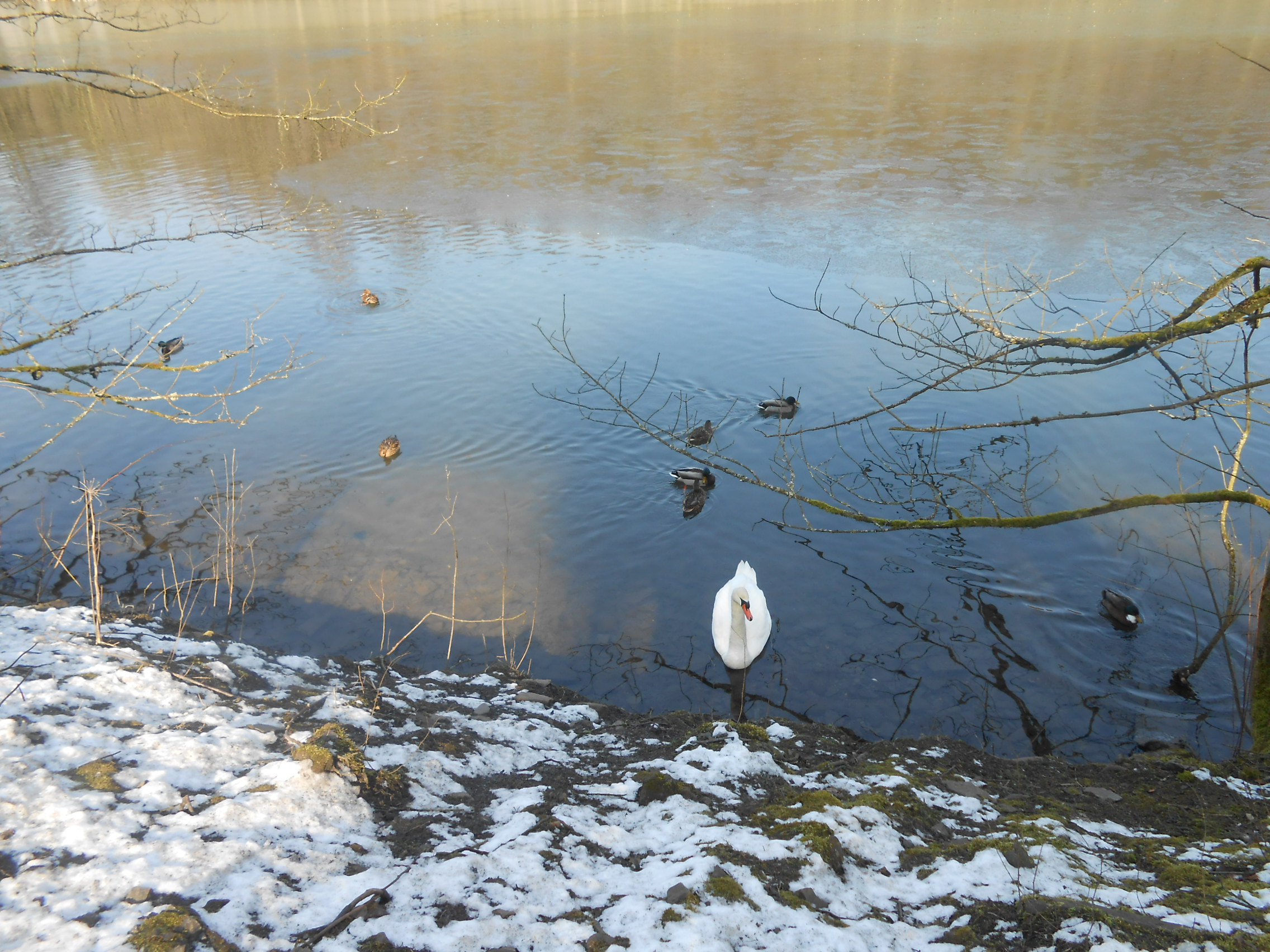 Ortsteil Laaken