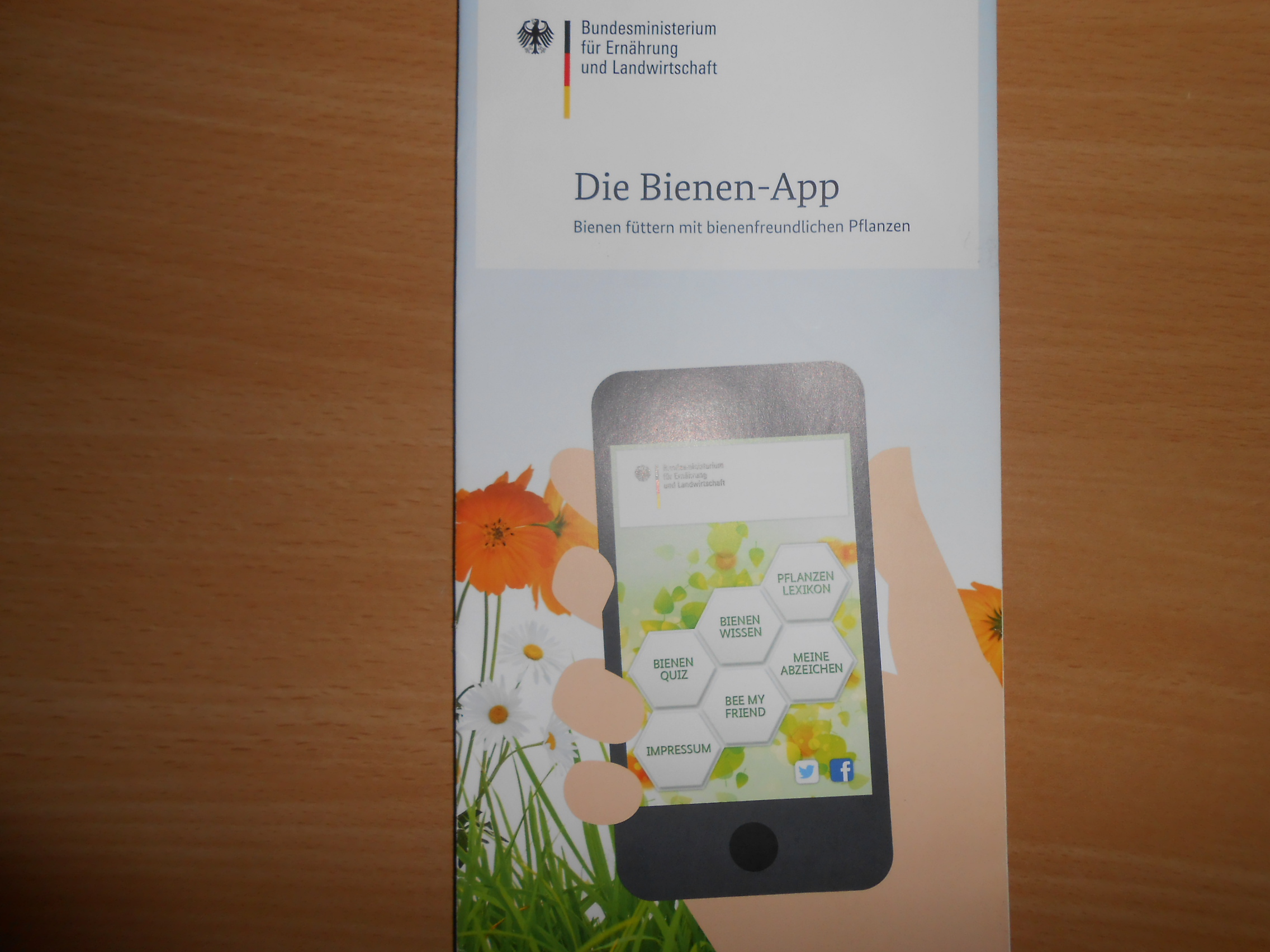 Die Bienen - App