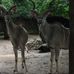 Zoo Duisburg in Duisburg