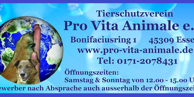 Tierschutzverein Pro Vita Animale e.V. in Essen