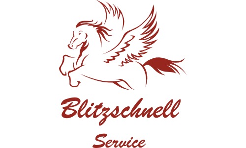 Bild 1 Blitzschnell Service in Hannover