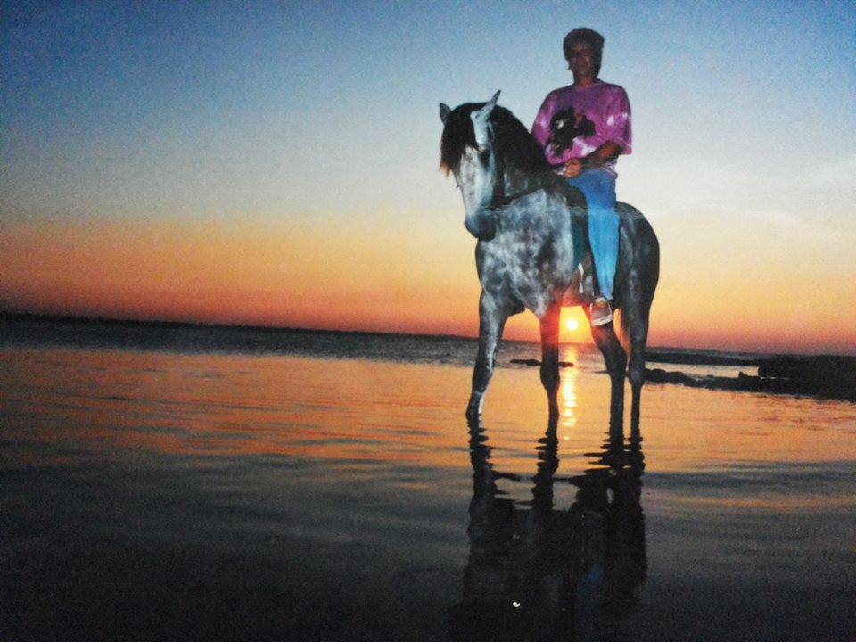 Urlaub pur und erholung auf dem Pferd am Strand