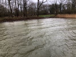 Bild zu Badestelle Selenter See bei Giekau