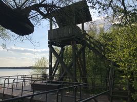 Bild zu Aussichtsturm auf den Röggeliner See