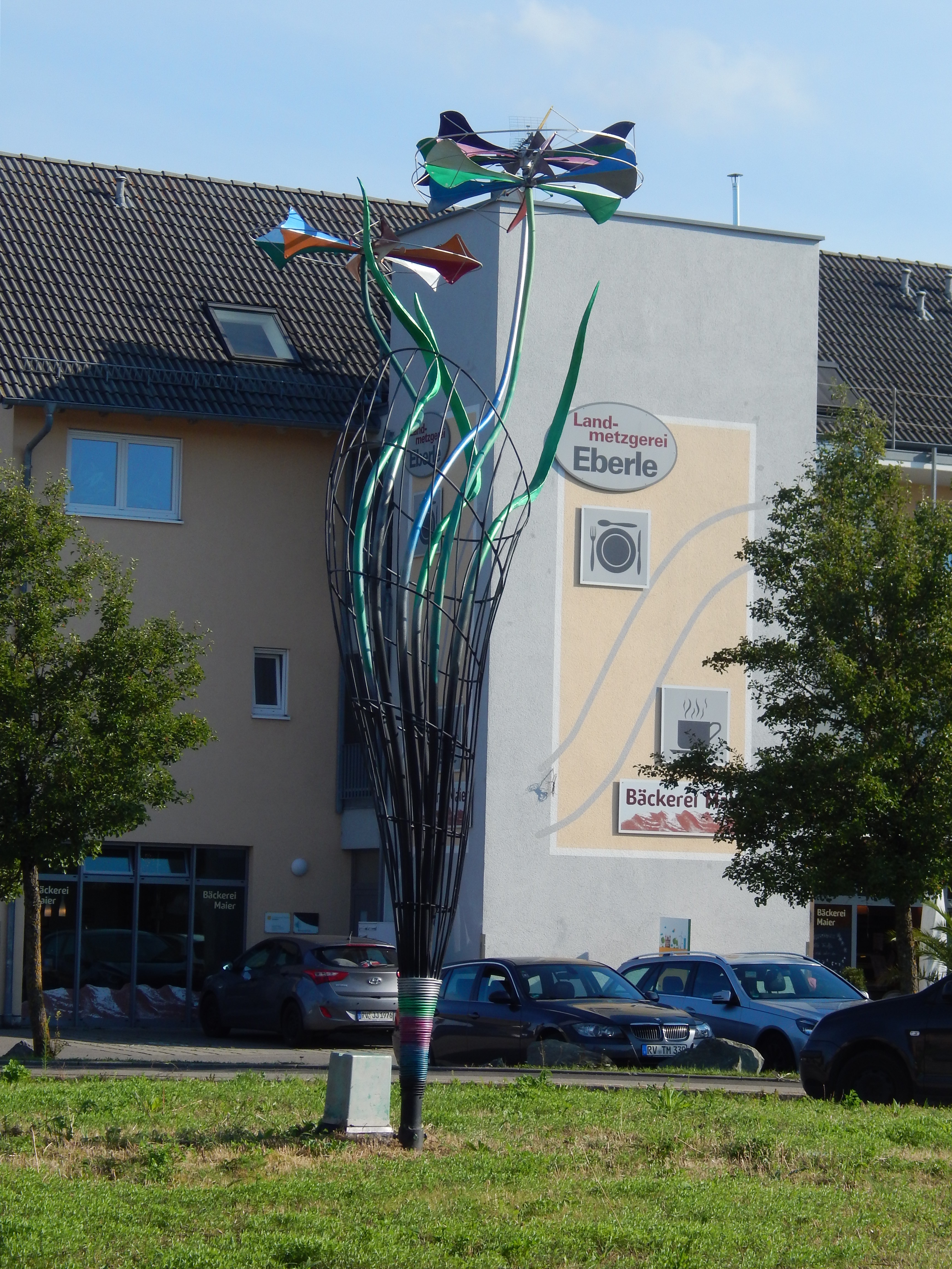 Bild 1 Eberle in Horgenzell