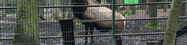 Bild zu Förderverein Wildpark e.V.