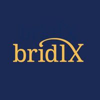 Bild zu bridlx GmbH