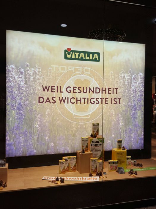 Nutzerbilder VITALIA GmbH