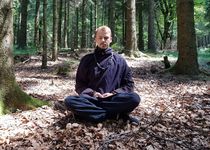 Bild zu Green Temple - Meditation / Wing Chun Kung Fu / Tee