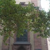 evangelische Dreikönigskirche in Frankfurt am Main