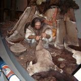 Stiftung Neanderthal Museum in Mettmann