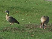 Nutzerbilder Stiftung Schloss und Park Benrath