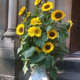 Blumen am Eingang zur Kapelle