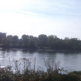 Rhein mit Blick auf Campingplatz auf der anderen Seite in Neuss