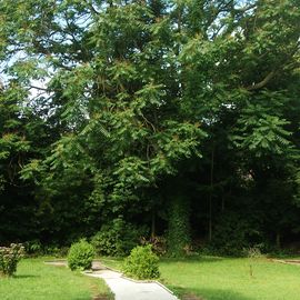 Minigolfplatz im Kaiserpark in Essen