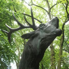 Röhrender Hirsch im Hofgarten in Düsseldorf