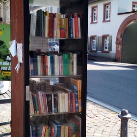 Bücherschrank bei der Tiefburg in Heidelberg