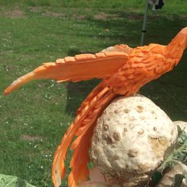Phönix aus Karotten