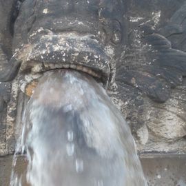 Nymphenbrunnen in Dresden