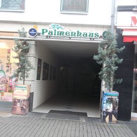 Palmenhaus in Düsseldorf