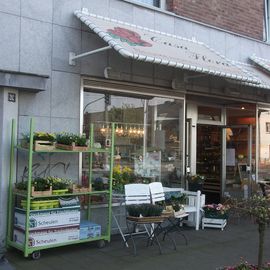 Casa Flora in Düsseldorf