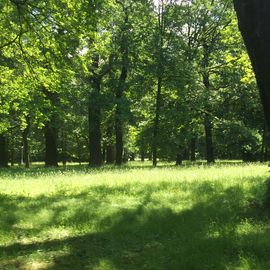 Ausblick auf den Park