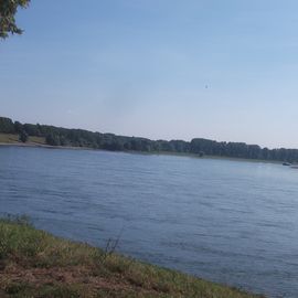 Rhein in Richtung Dormagen