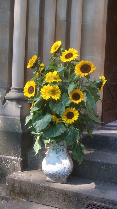 Blumen am Eingang zur Kapelle
