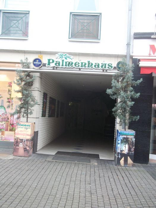 Palmenhaus