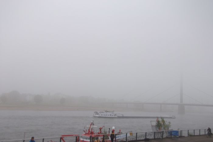 Am Rhein heute am späten Vormittag (ca. 11 Uhr) konnte man das andere Ufer kaum wegen des Nebels erkennen!