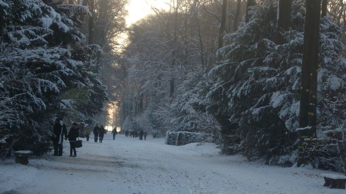 Nutzerbilder Stiftung Schloss und Park Benrath