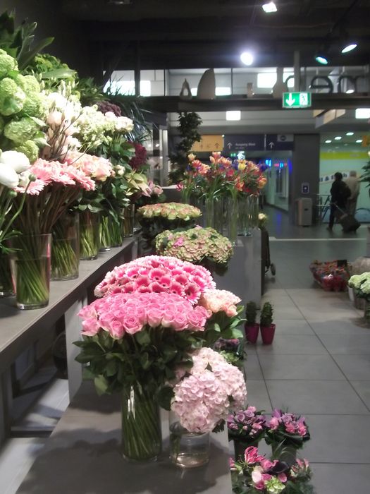 Blumenimpressionen Innen bei Große-Kock