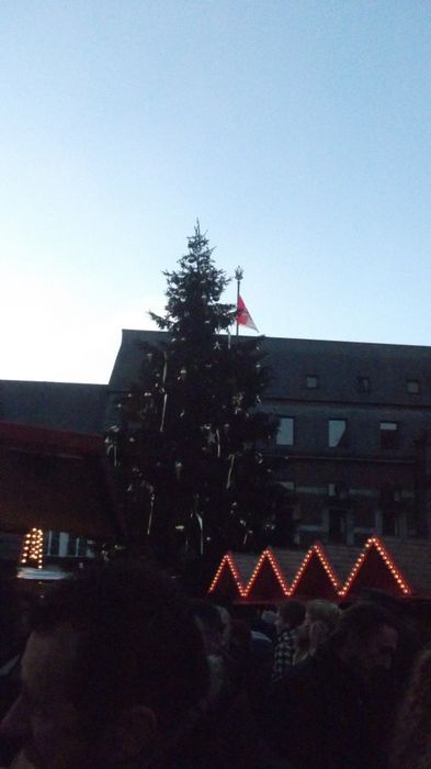 Weihnachtsbaum im Schatten des Rathauses und mitten auf dem Markt