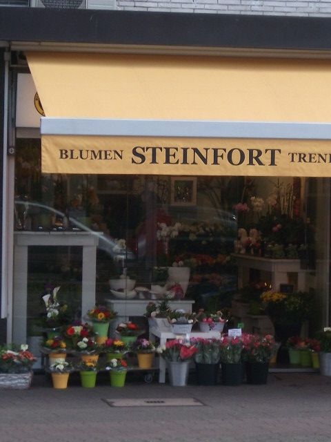 Blumen Steinfort