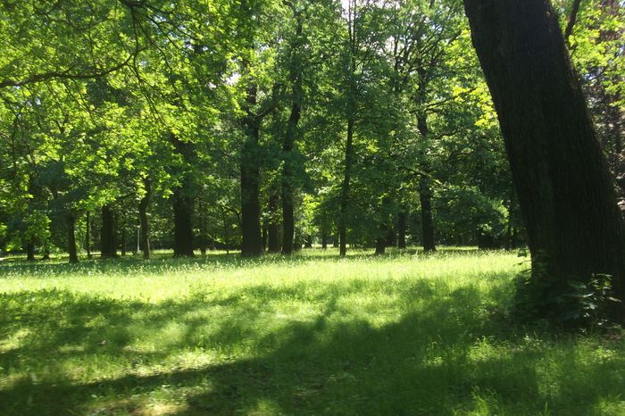 Ausblick auf den Park