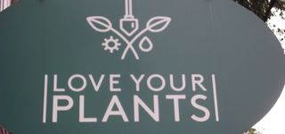 Bild zu Love Your Plants