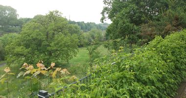 Themenpfad "Den Süden entdecken" in Aschaffenburg