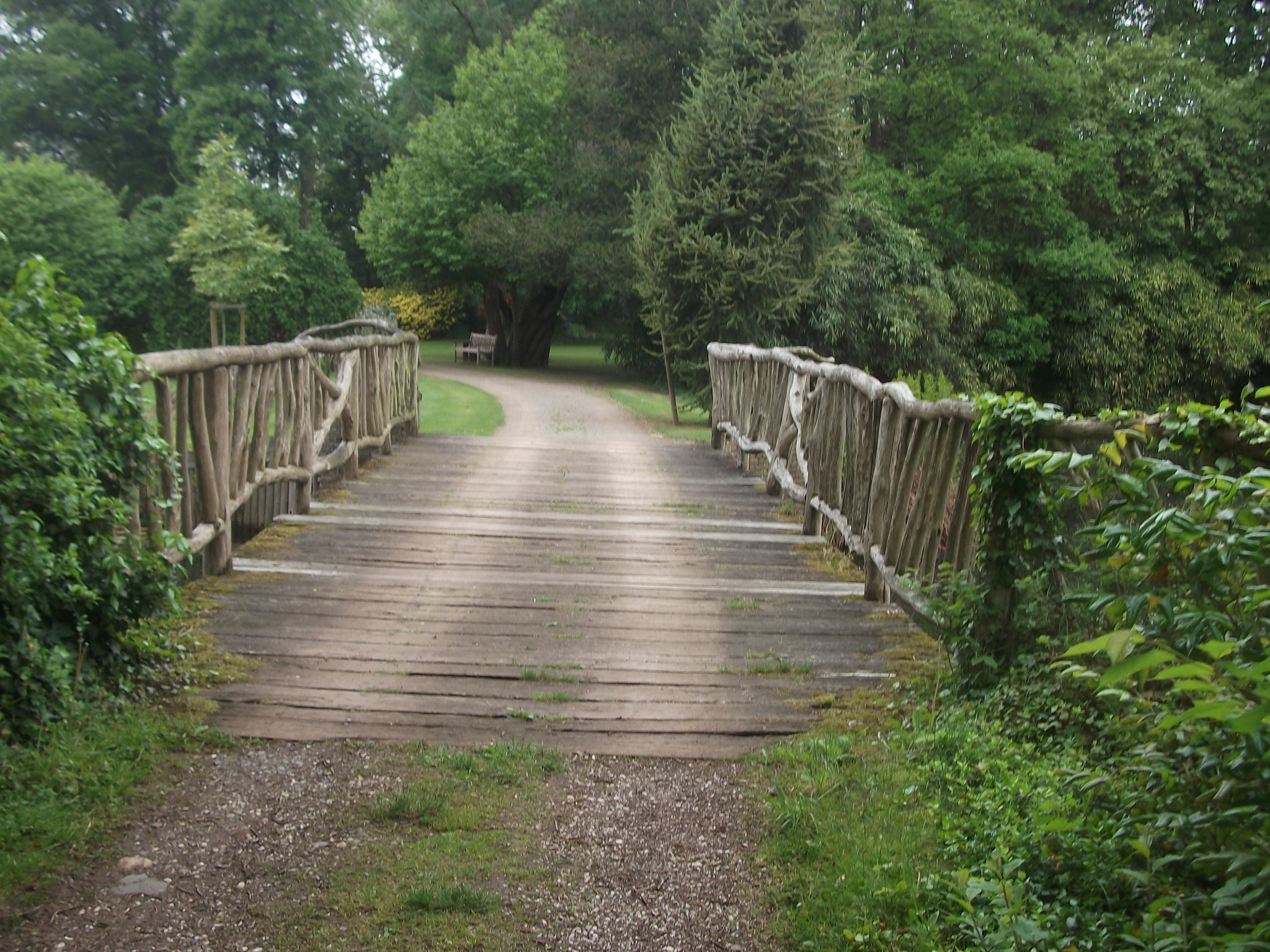 eine knorrige Brücke im Park
