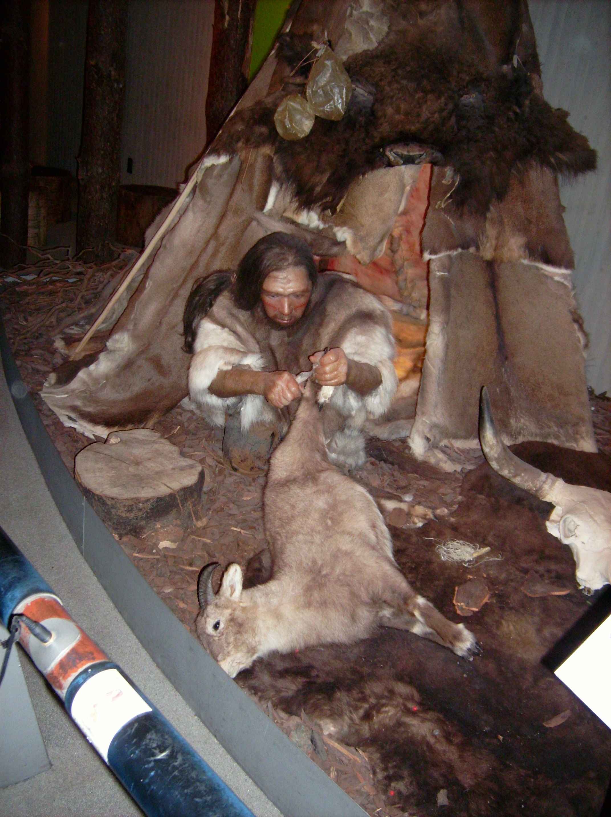 Neandertaler zerlegt seine Beute