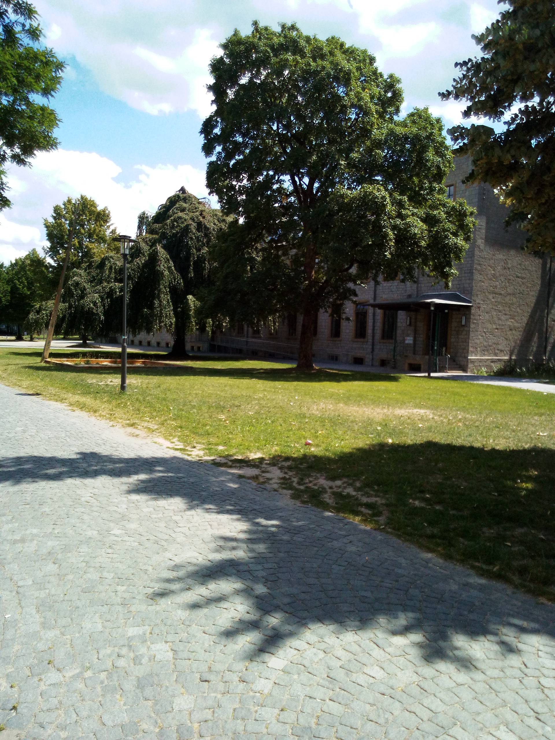 Bild 2 Ravensberger Park in Bielefeld
