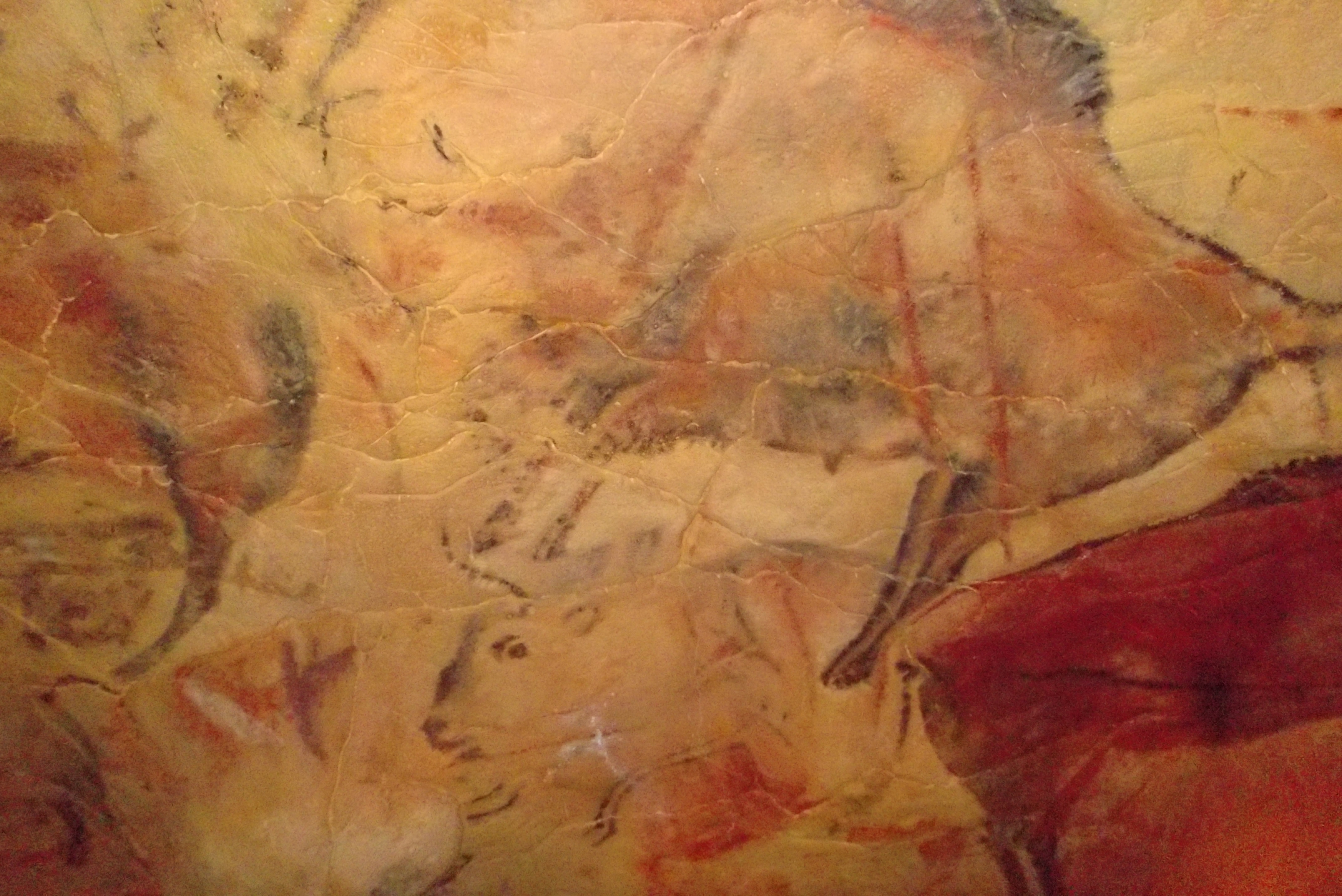 Detail aus der Altamira Höhle