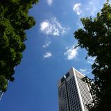 UBS Deutschland AG in Frankfurt am Main