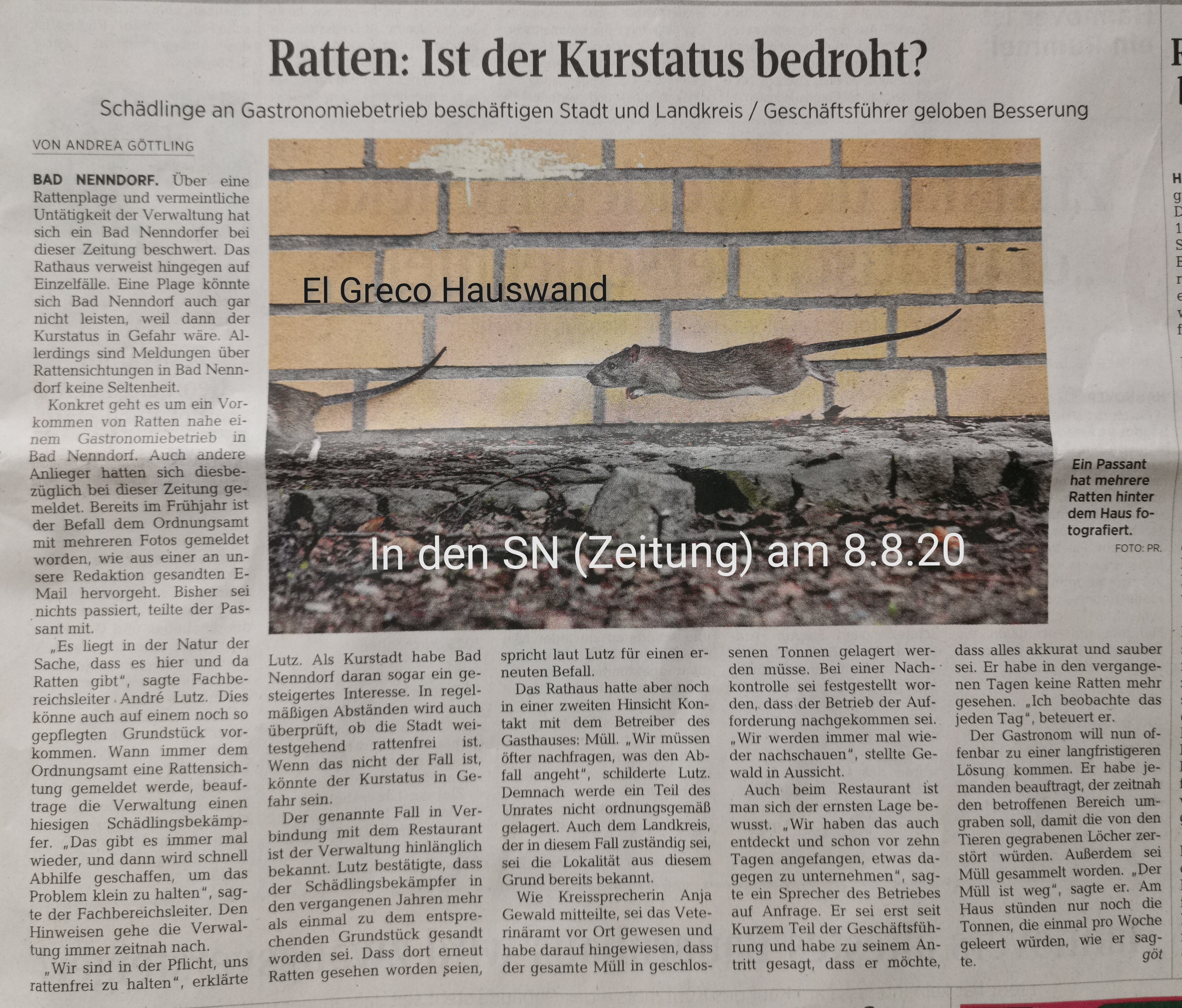 Bestätigung über das Rattenproblem bei El Greco in 8/20