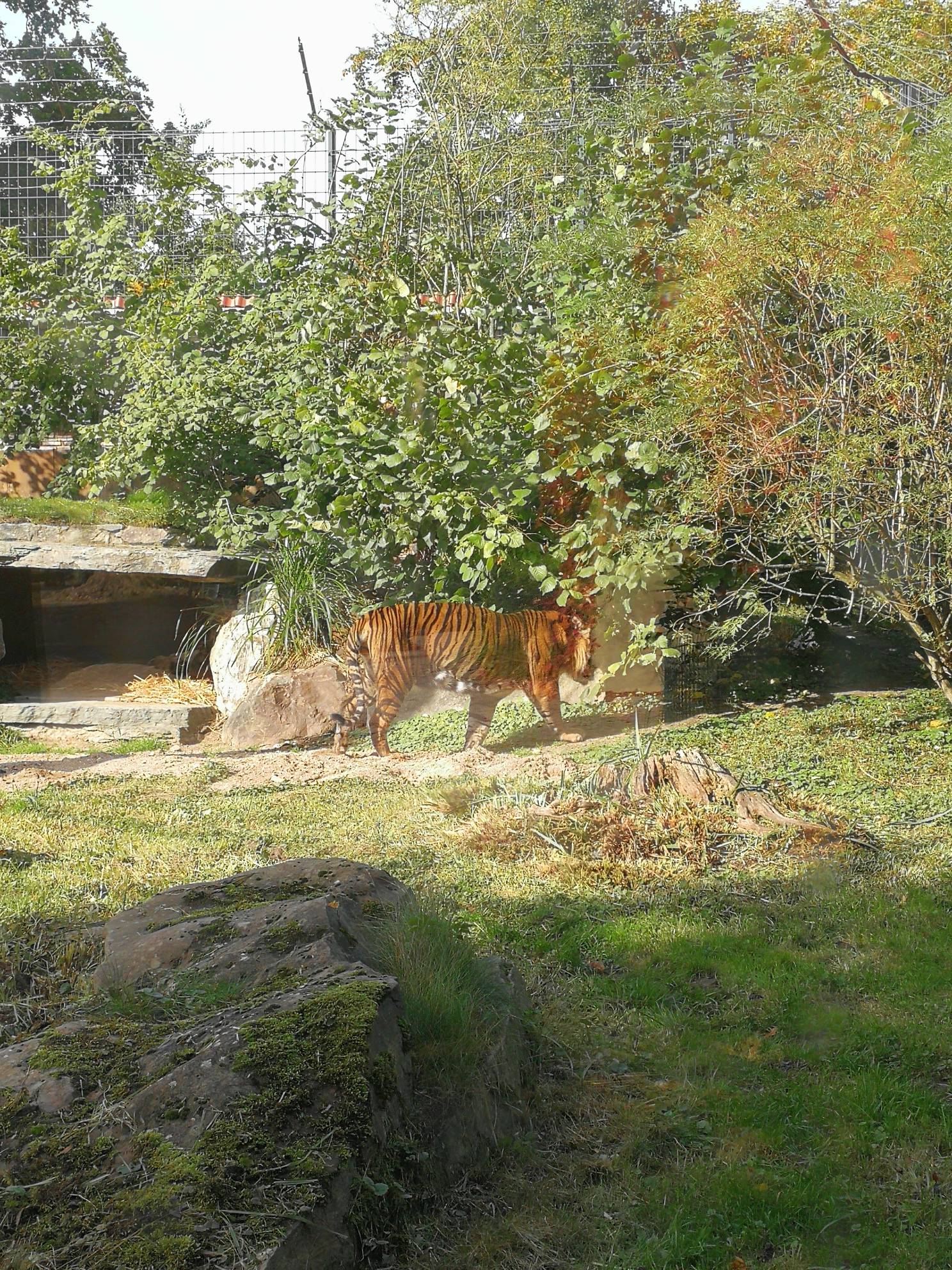 Bild 14 Zoo in Krefeld